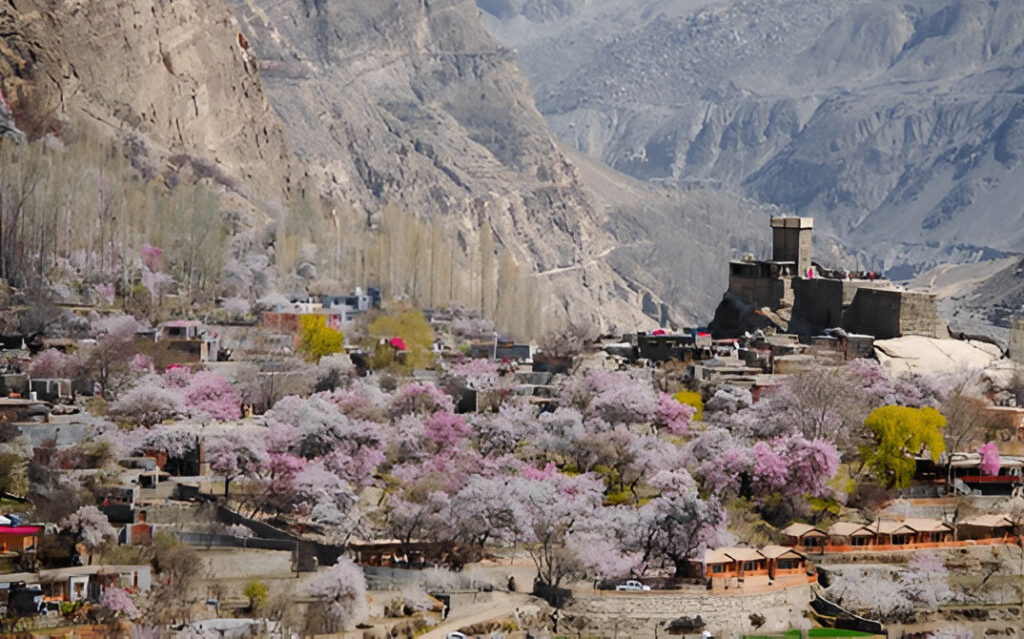 altit fort hunza valley (2)