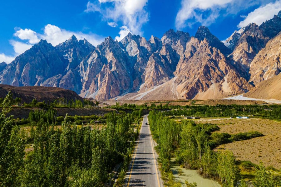 passu cones