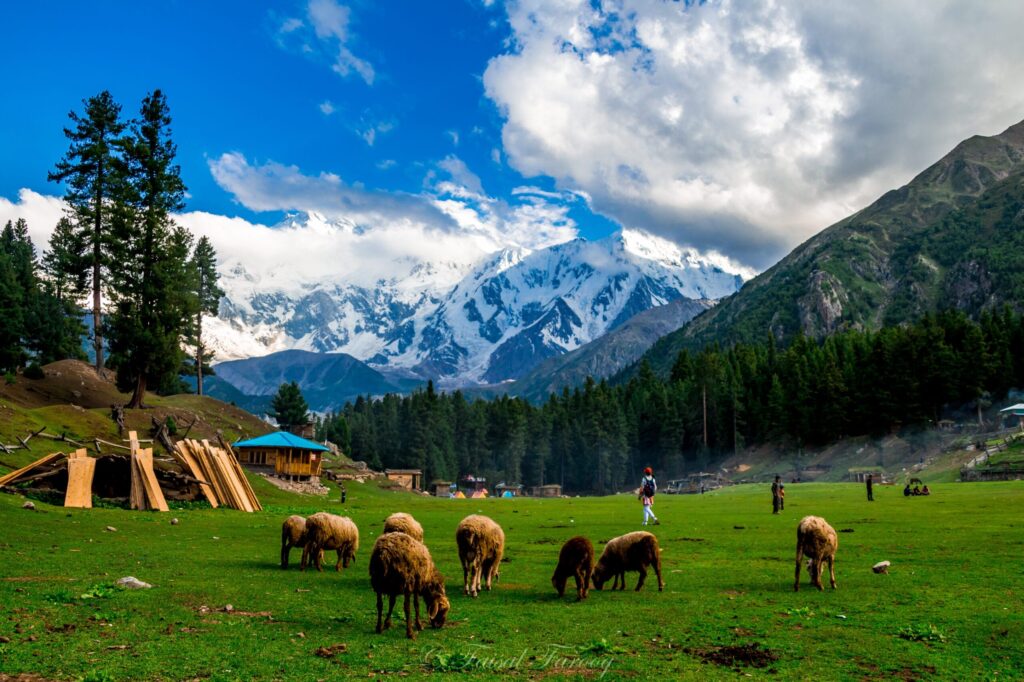 hunza 6
